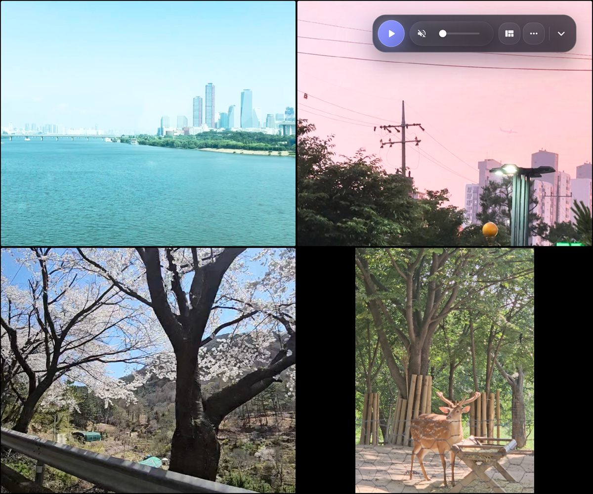 Real multiview screen comparing multiple videos in flexible layouts